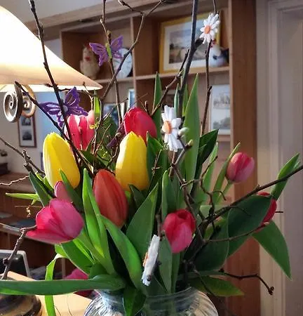 Gutshaus Parin - Bio- Und Gesundheitshotel Hotel