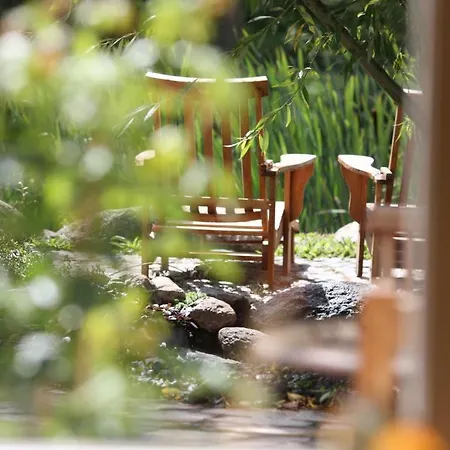 Hotel Gutshaus Parin - Bio- Und Gesundheitshotel Moor-Rolofshagen