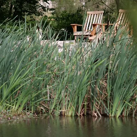 Gutshaus Parin - Bio- Und Gesundheitshotel * Moor-Rolofshagen