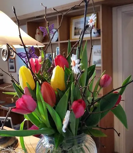 Gutshaus Parin - Bio- Und Gesundheitshotel Hotel