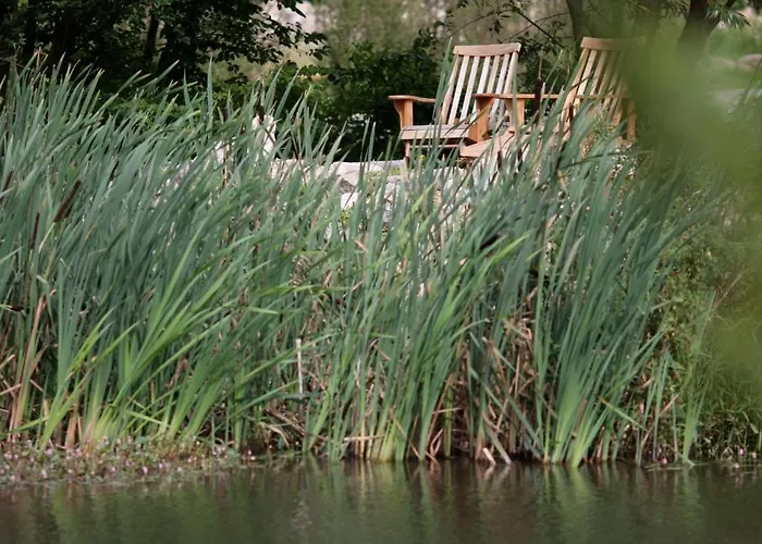 Gutshaus Parin - Bio- Und Gesundheitshotel * Moor-Rolofshagen